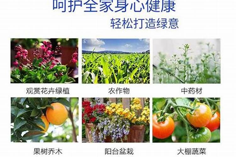 钙肥和硼肥能一起用吗