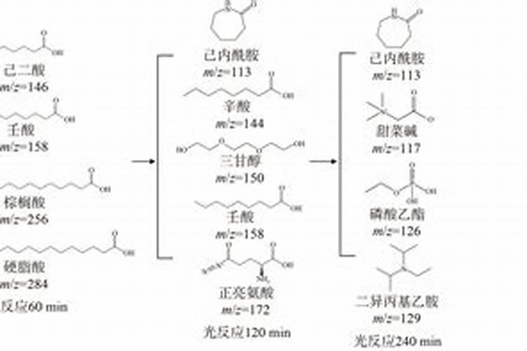 黑土中为什么腐殖质不易分解有机质含量就高