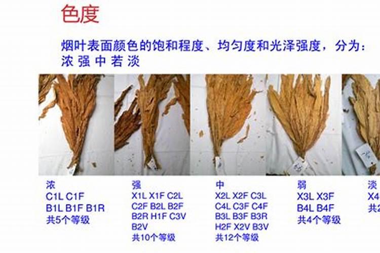 种烤烟用什么肥料好？
