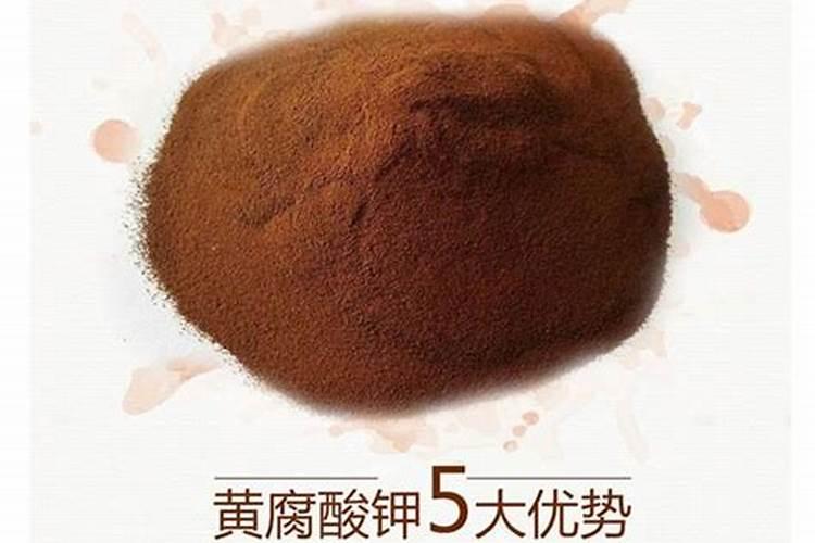 磷酸二氢钾养多肉效果