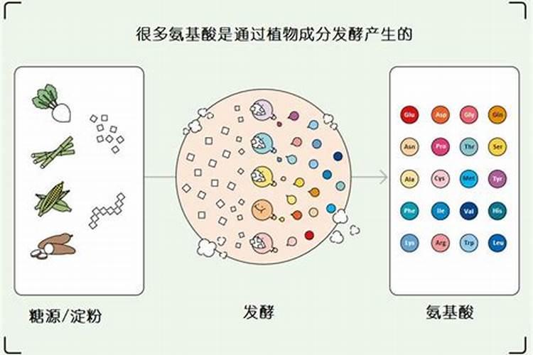 黄豆当肥料施在葡萄秧有什么好处