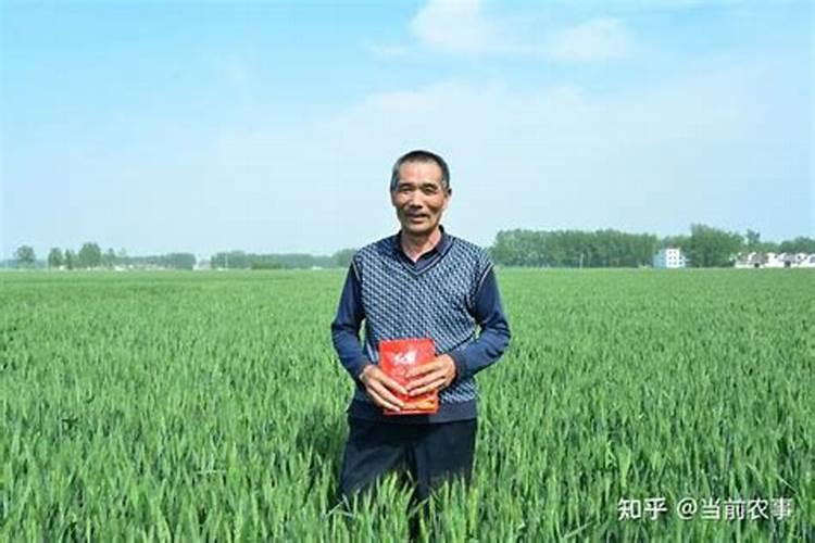 俄罗斯钾肥几天见效