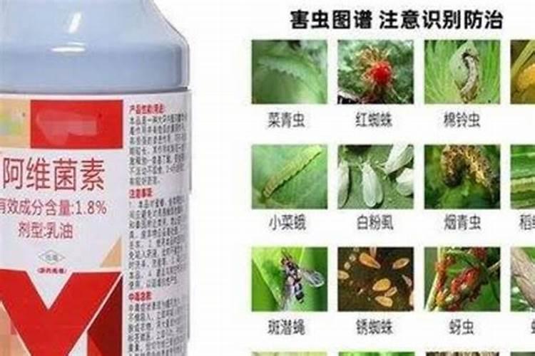 阿维菌素和硼肥可以混用吗