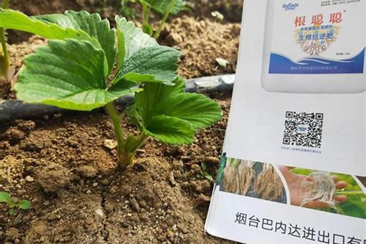 微量元素水溶肥多久用一次 微量元素水溶肥料的适用作物和使用方法