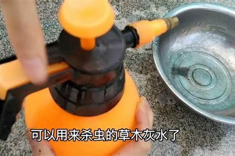 草木灰在黄瓜上喷施起什么作用？