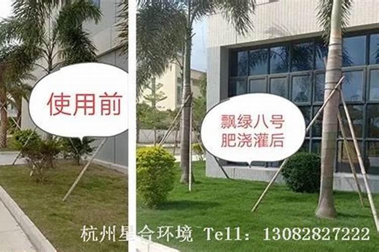 草胺磷喷后几天可以施肥