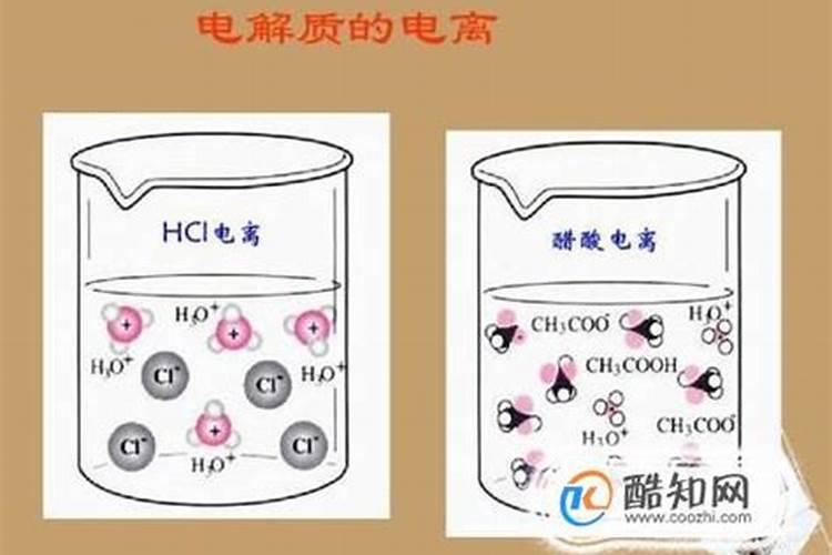 腐殖酸、黄腐酸和氨基酸的区别