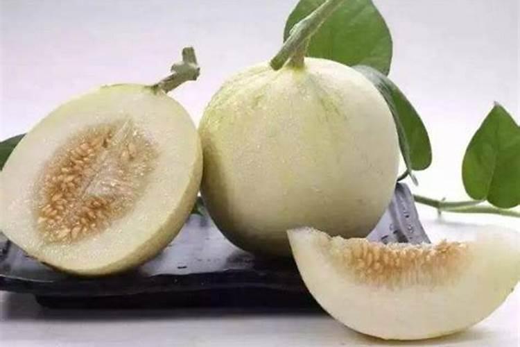 香瓜高产施肥技巧注意什么 香瓜应该怎么养殖