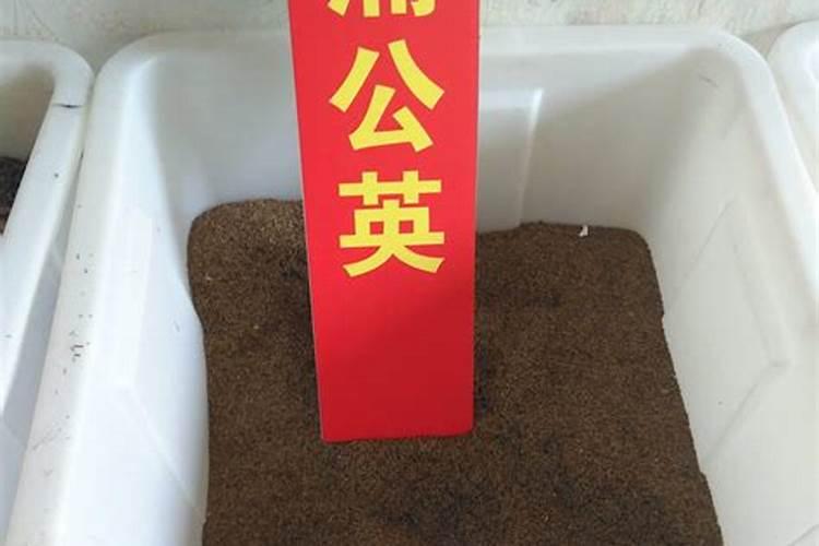 一亩地用多少化肥正常