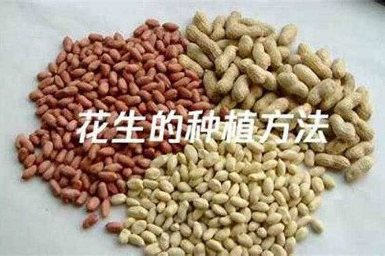 硅肥的施用范围？