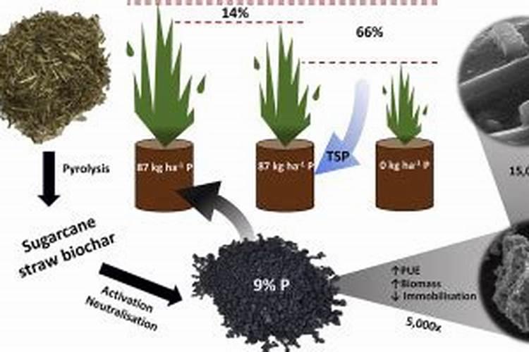 百菲酪水牛奶好喝吗？