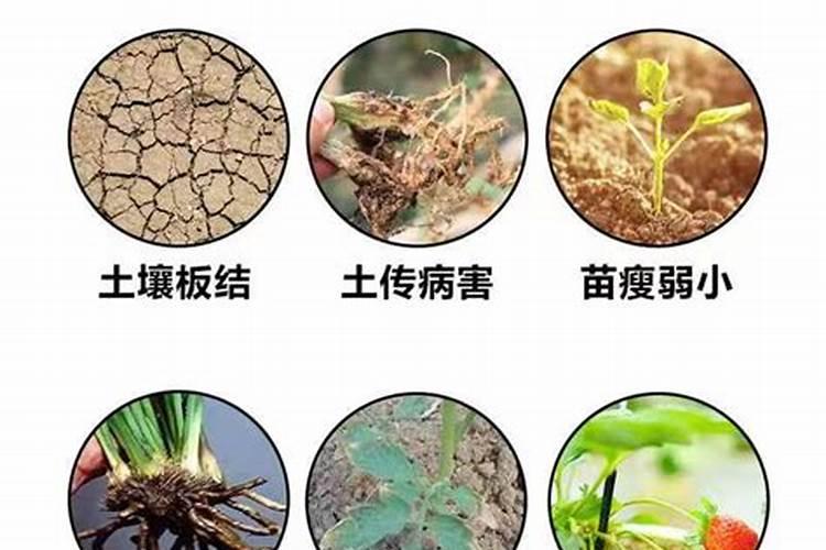 高铁酸钾与高锰酸钾的区别