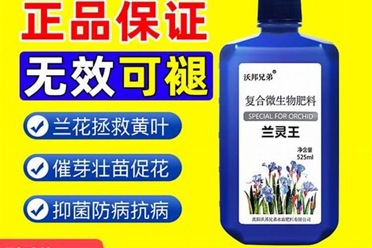 蝴蝶兰开败后怎么养护长得好