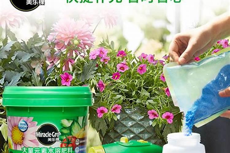 水溶肥浇水前使好还是浇水后使好