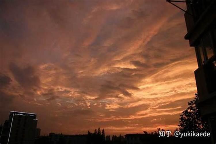 小麦在什么期间可打叶面肥