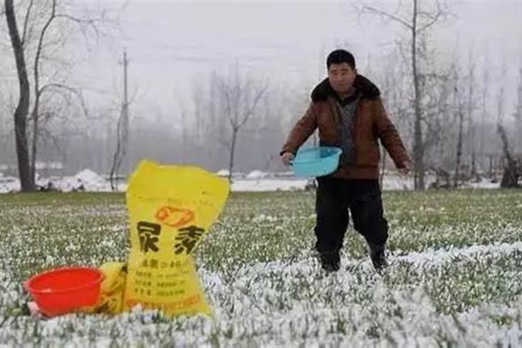 尿素追肥水冲好还是培土施肥好？