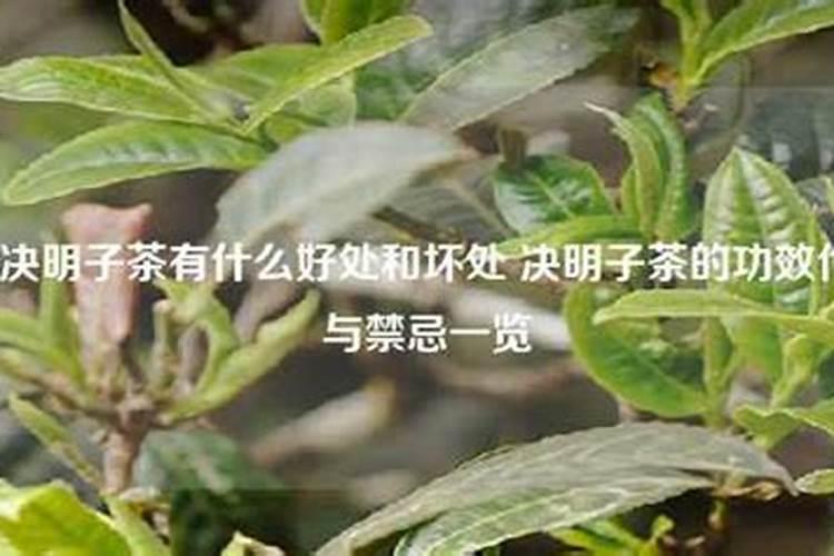 安吉白茶种植:茶园土壤板结的原因、原理及补救
