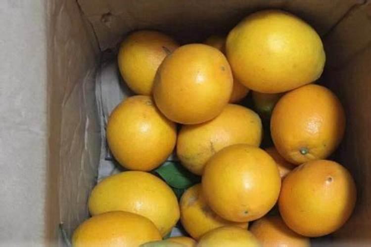 脐橙冬肥施什么肥好