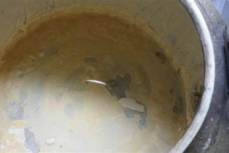 多肉怎么施肥才能更旺盛(如何给多肉施肥料又肥又胖)
