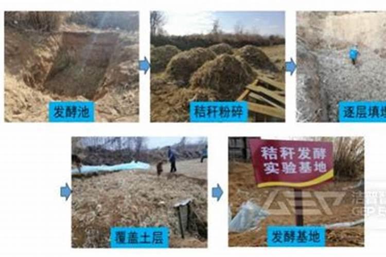 怎么样把玉米当肥料的使用到地里？