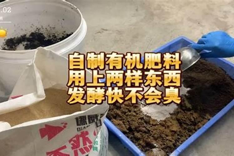 白菜怎样才能无虫和快速生长？