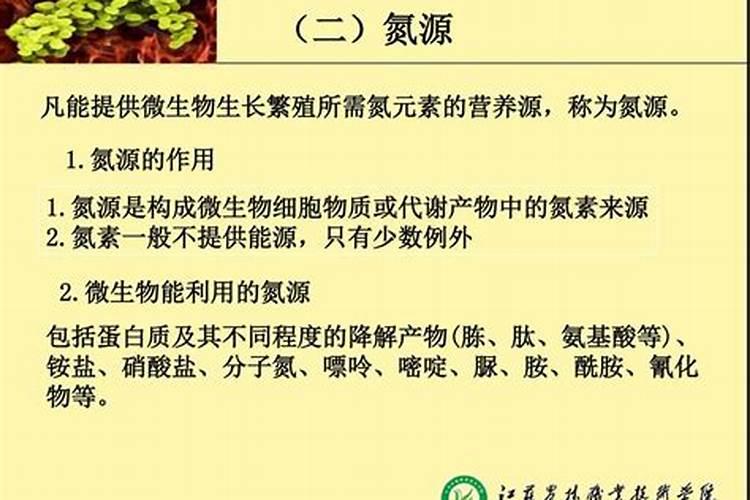 氨氮、硝态氮与总氮