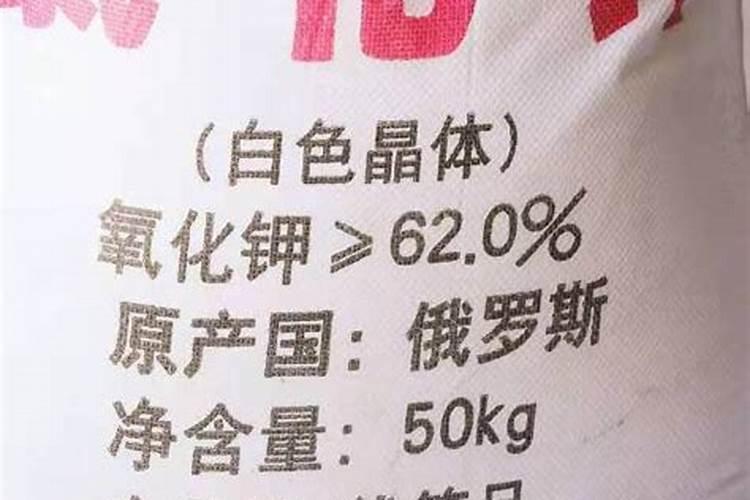 磷肥做底肥会烧根吗
