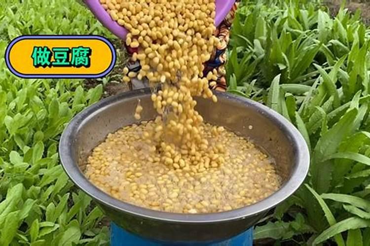 如何自制氮肥