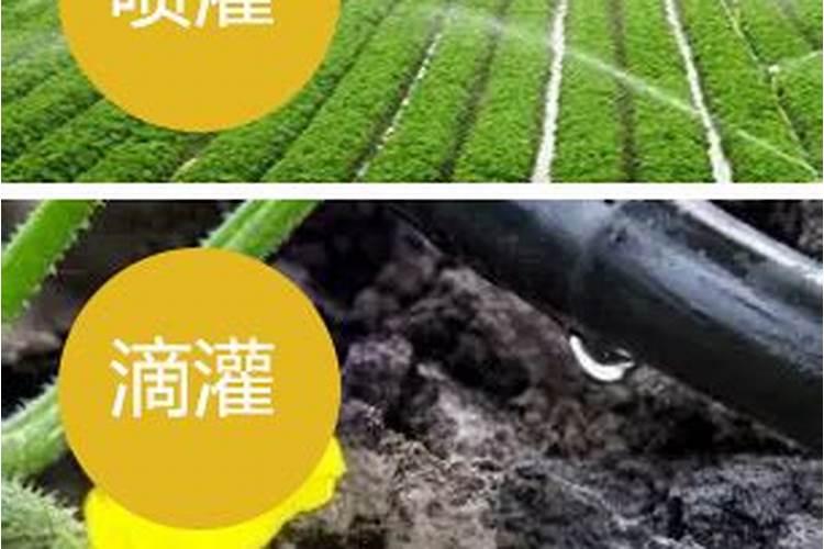 202020水溶肥配方计算(大量元素水溶肥配方表)