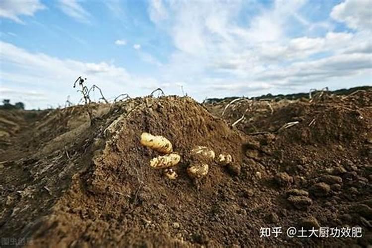 1斤水溶肥兑多少水