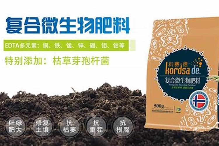 桂花树苗移栽能用水溶肥吗