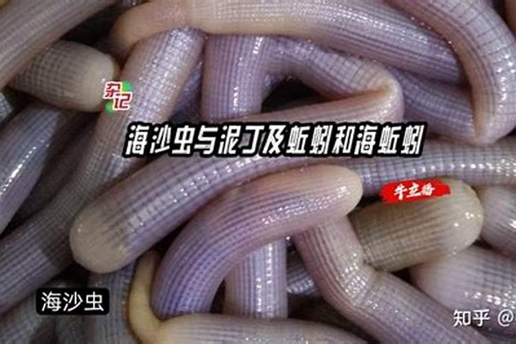 蚯蚓粪养花好吗？蚯蚓粪养花的方法和注意事项