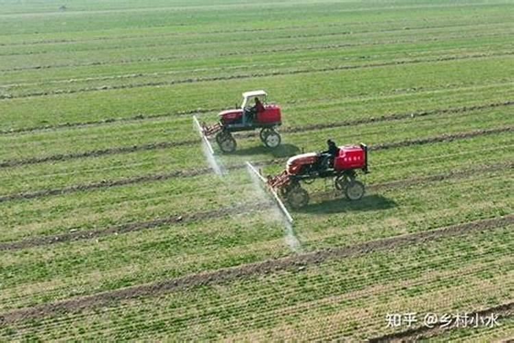 大豆打完除草剂多久可以打叶面肥水？