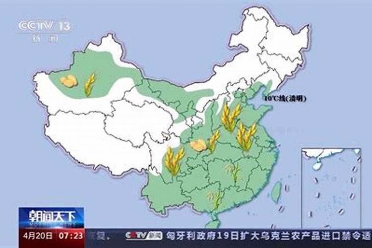 小麦叶面肥什么牌子最好