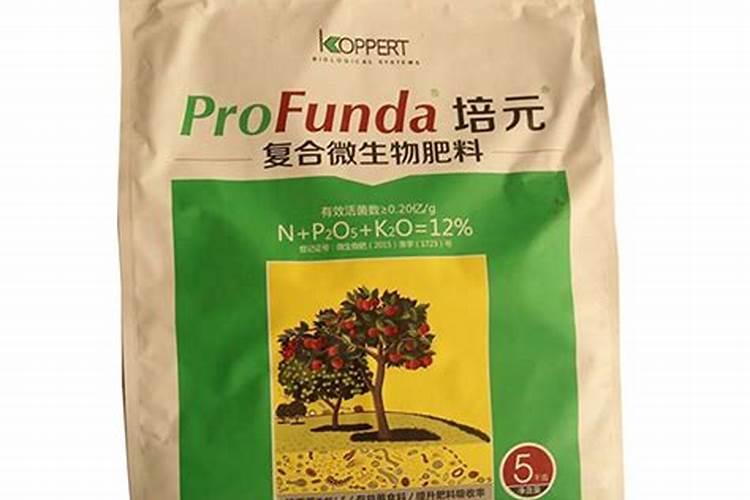 酶王肥好么