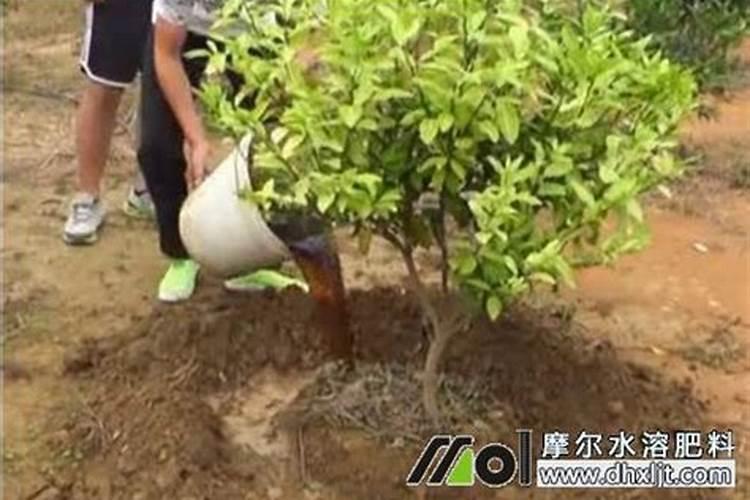 流体硼的作用与用法
