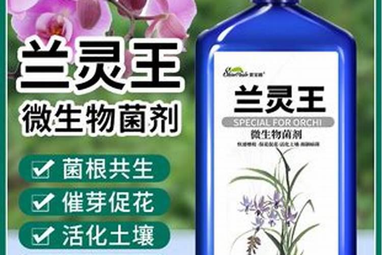 兰花专用肥怎么选