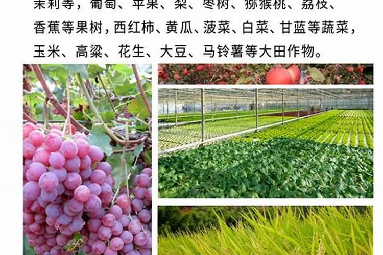 钾肥有哪些 钾肥是什么