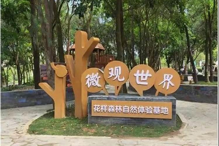 叶面肥有哪些牌子 排行榜都有哪些上榜