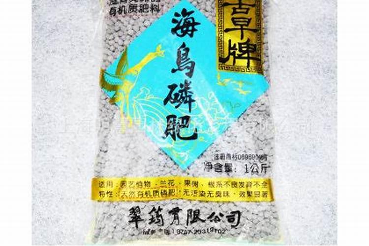 茉莉花怎么才能让叶子又大有好？