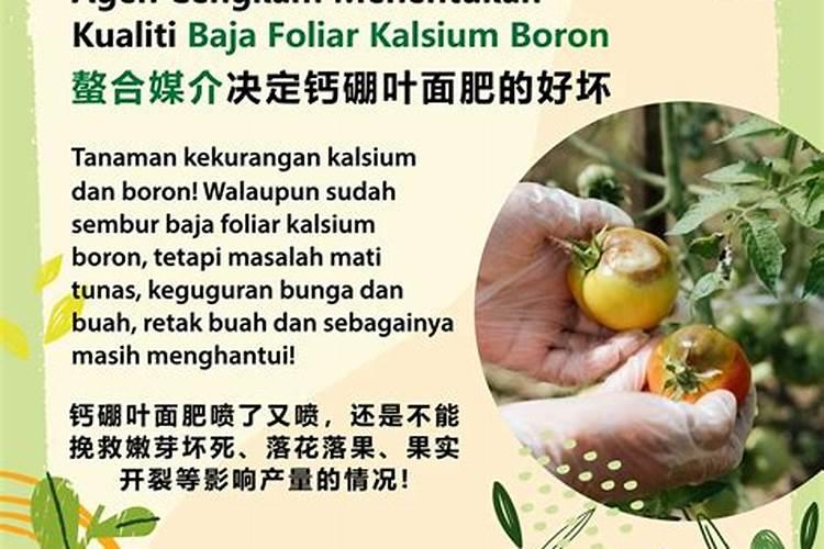 花卉叶面肥使用方法