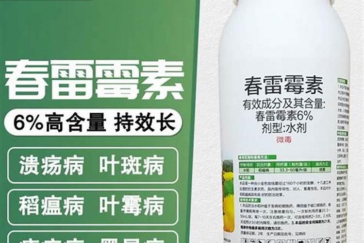 春雷霉素对炭疽病有效吗