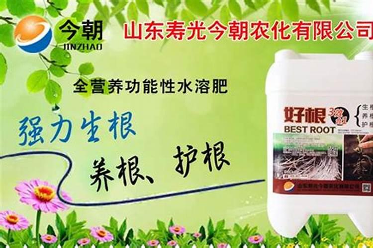 黄豆叶面肥什么时打合适