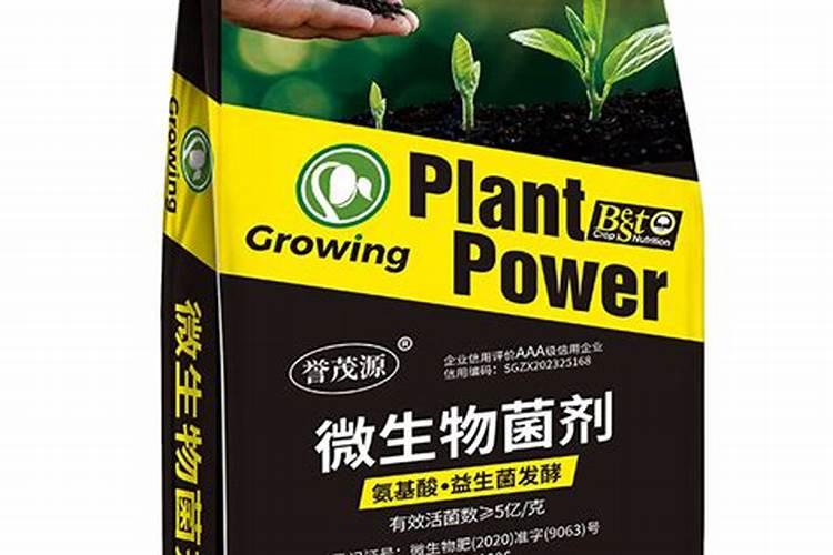 硅肥的作用及功能