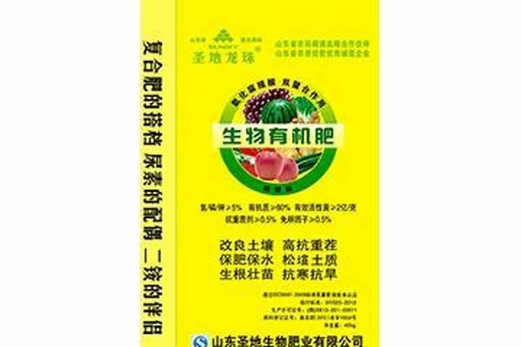 龙珠牌注册过商标吗？还有哪些分类可以注册？