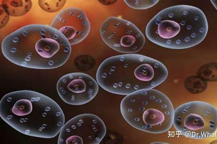 缩二脲对作物有好处吗