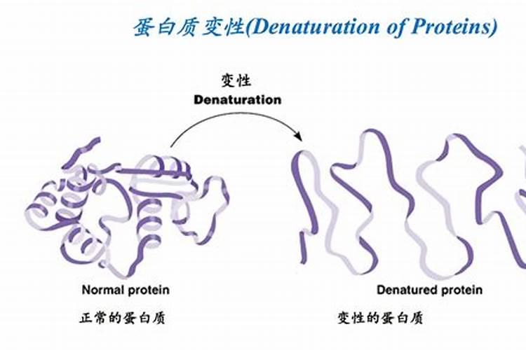 尿素溶水时间,农田肥料尿素施用后,多长时间有效