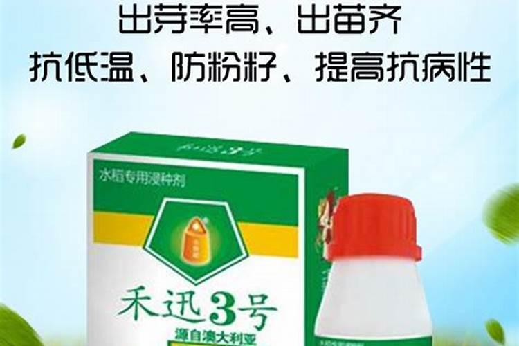 天气降温地里的香蕉树冷了有什么办法保香蕉不被冻伤或冻死