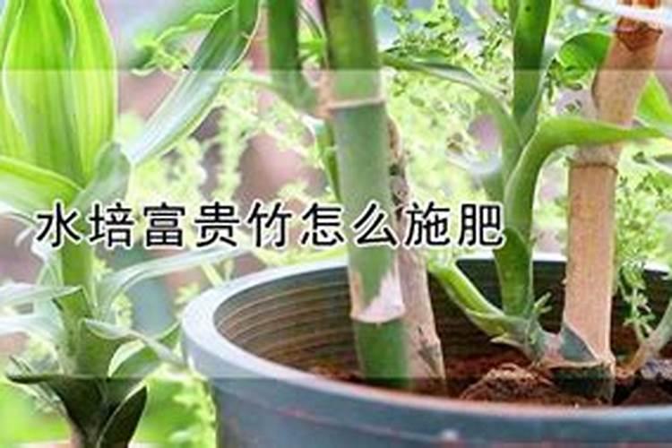 人尿有没有作为氮肥的作用