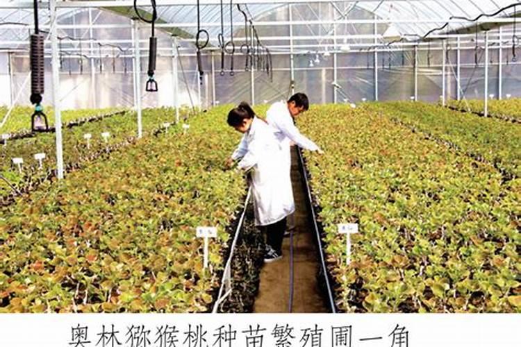 高中生物结晶用胰岛素夺51个氨基酸